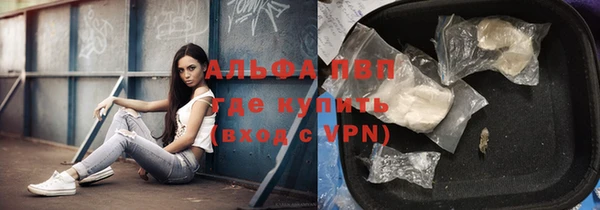 СК Осташков