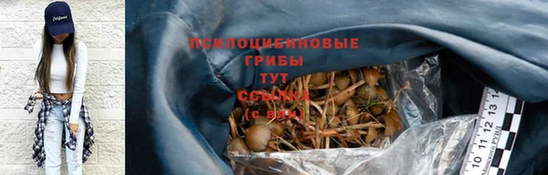 СК Осташков