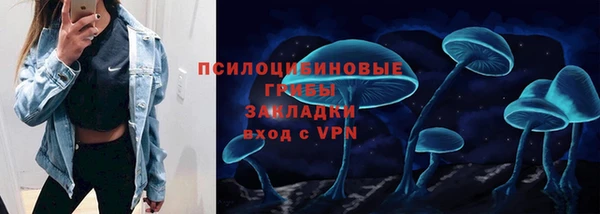 а пвп мука Осинники